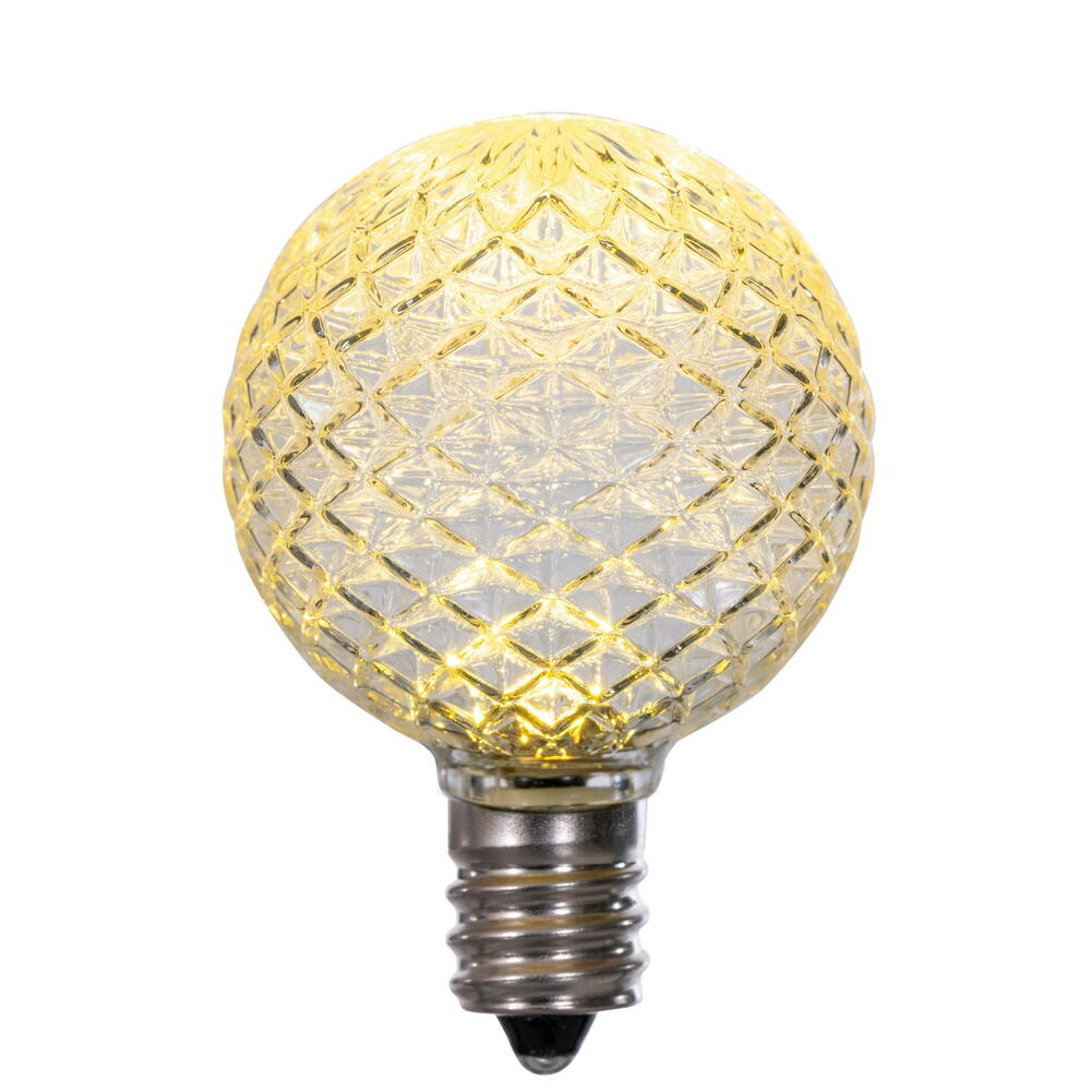 Vickerman G40 LED Warm White Replacement Bulb package of 25