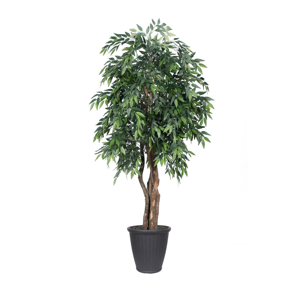 Vickerman 6' Artificial Green Smilax Executive Tree Gray Round Plastic Container.