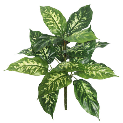 Vickerman 22" Artificial Green Dieffenbachia Plant Pack of 2