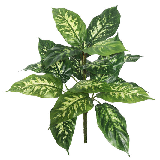 Vickerman 22" Artificial Green Dieffenbachia Plant Pack of 2