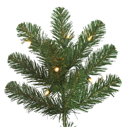 Vickerman 6.5' Oregon Fir Artificial Christmas Tree Clear Dura-lit Lights