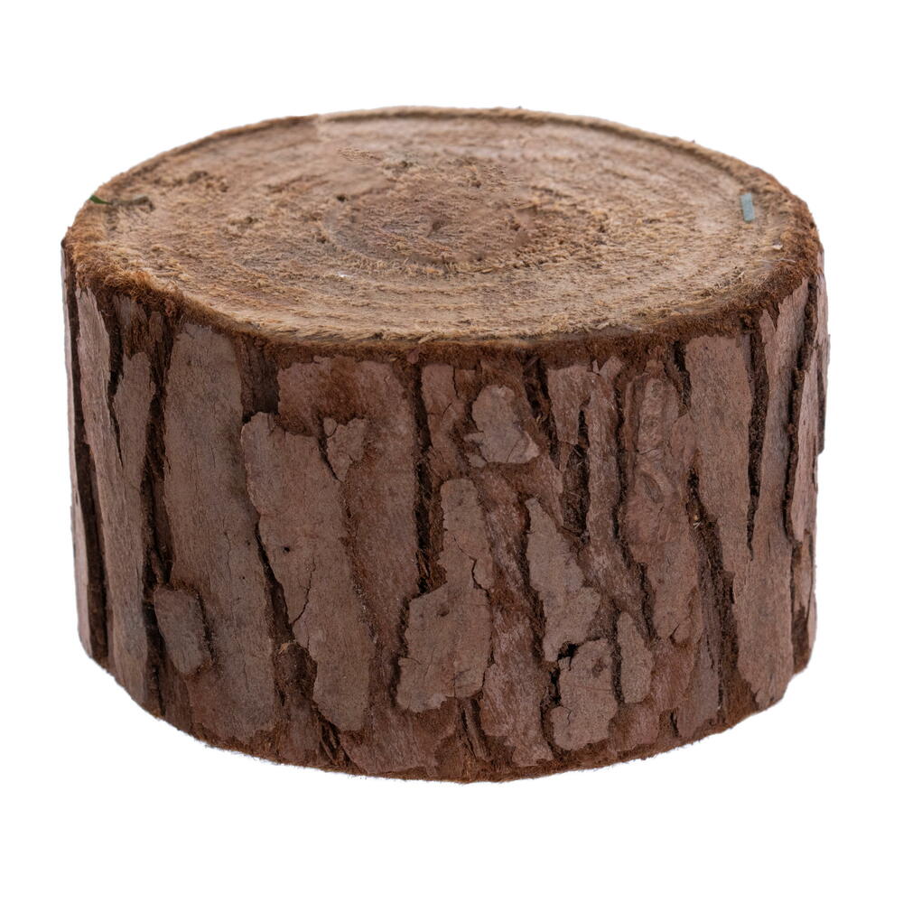 Vickerman 24" Mini Pine Artificial Christmas Tree Unlit