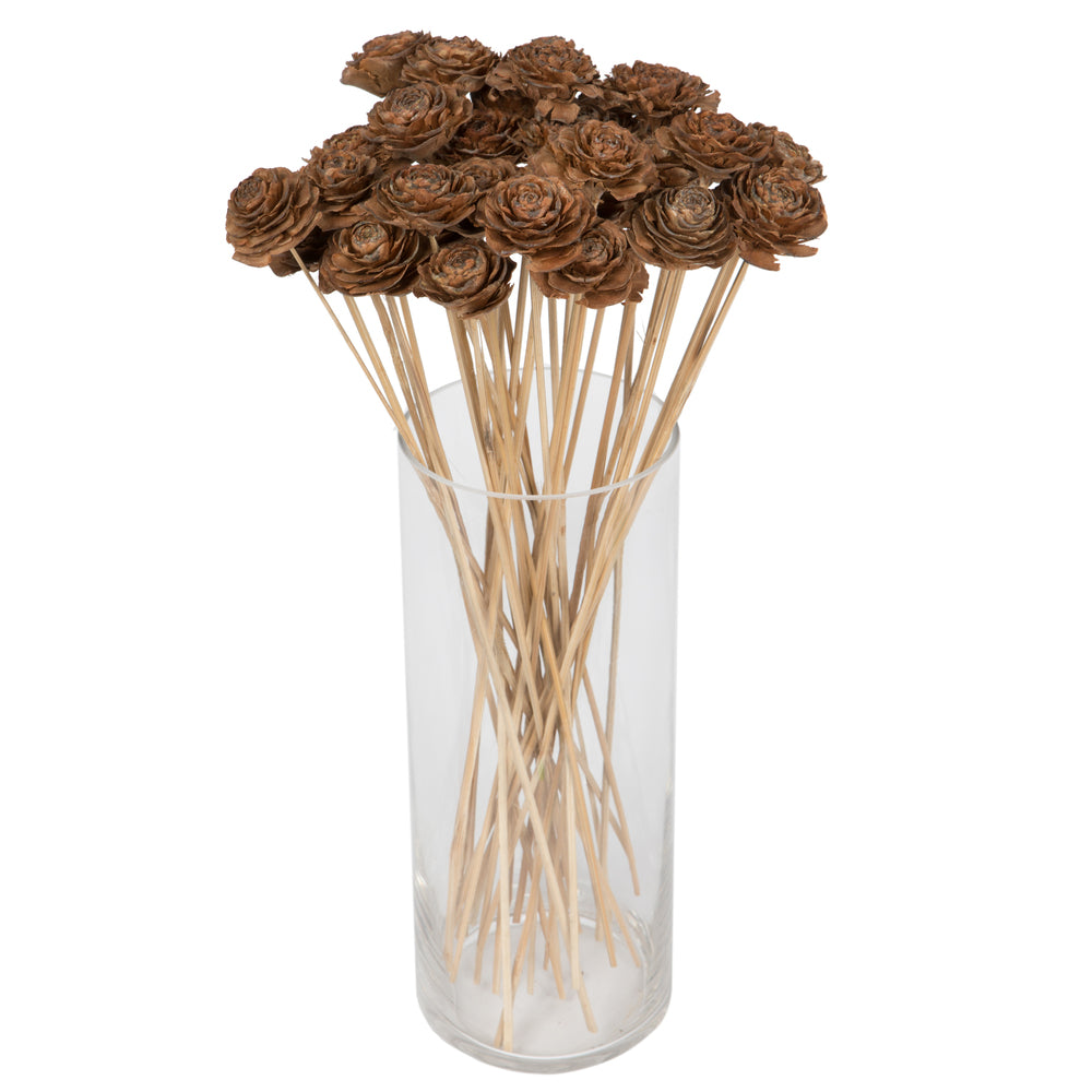 Vickerman Natural Botanicals