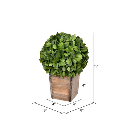 Vickerman 11" Artificial Potted Boxwood Ball in Wooden Pot.