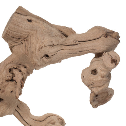 Vickerman Grapewood Sand Blasted trunk branchy Dried