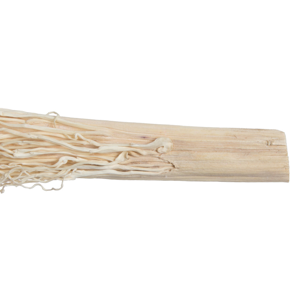 Vickerman Natural Botanicals 8"-12" Khejur Jhar Bleached. Includes 25 pieces per Pack.