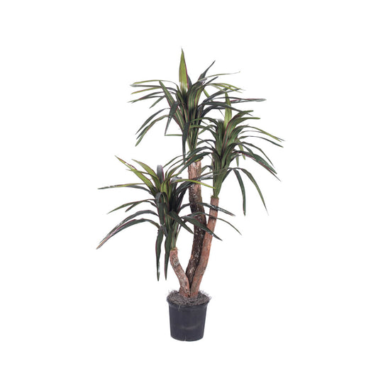 Vickerman 4' Artificial Marginata Extra Full Bush Black Plastic Pot.