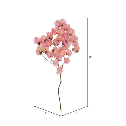 Vickerman 13.5-17" Pink Dried Cara Blossom Bundle Preserved.