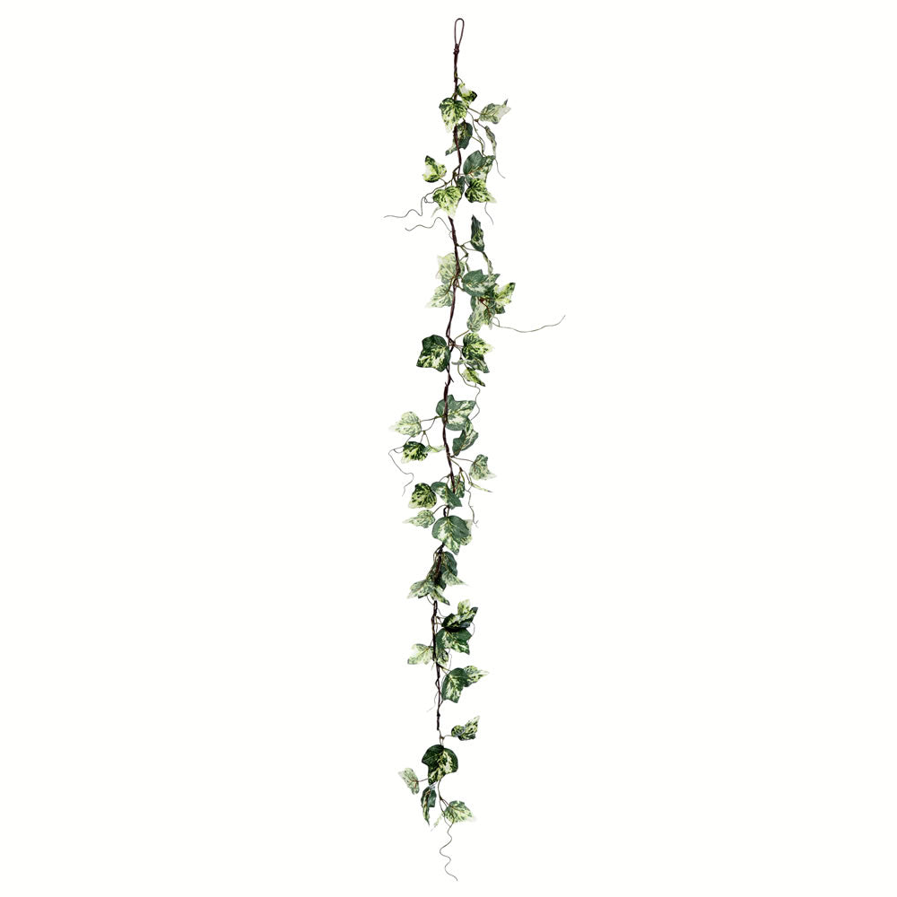Vickerman 56" Artificial Green Variegated Ivy Garland Pack of 2