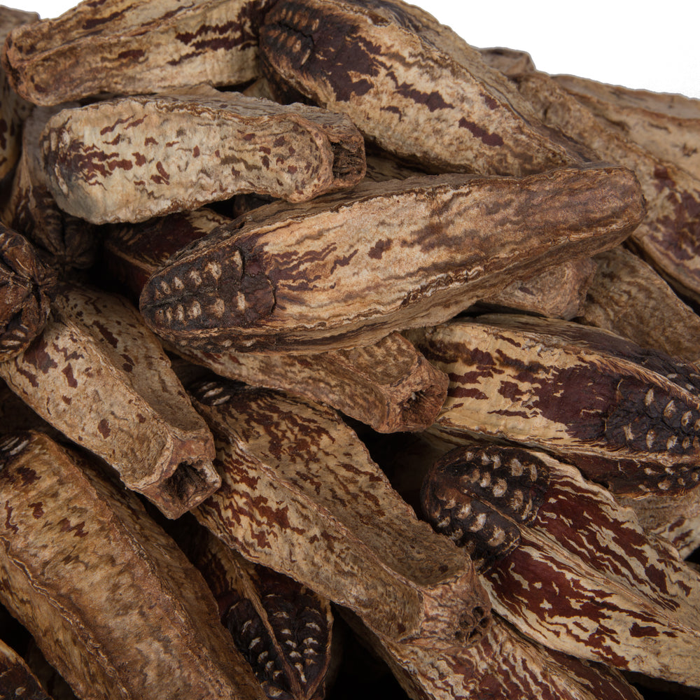 Vickerman Natural Botanicals 2.8" Mahogany Pods Natural. Includes 100 pieces per unit
