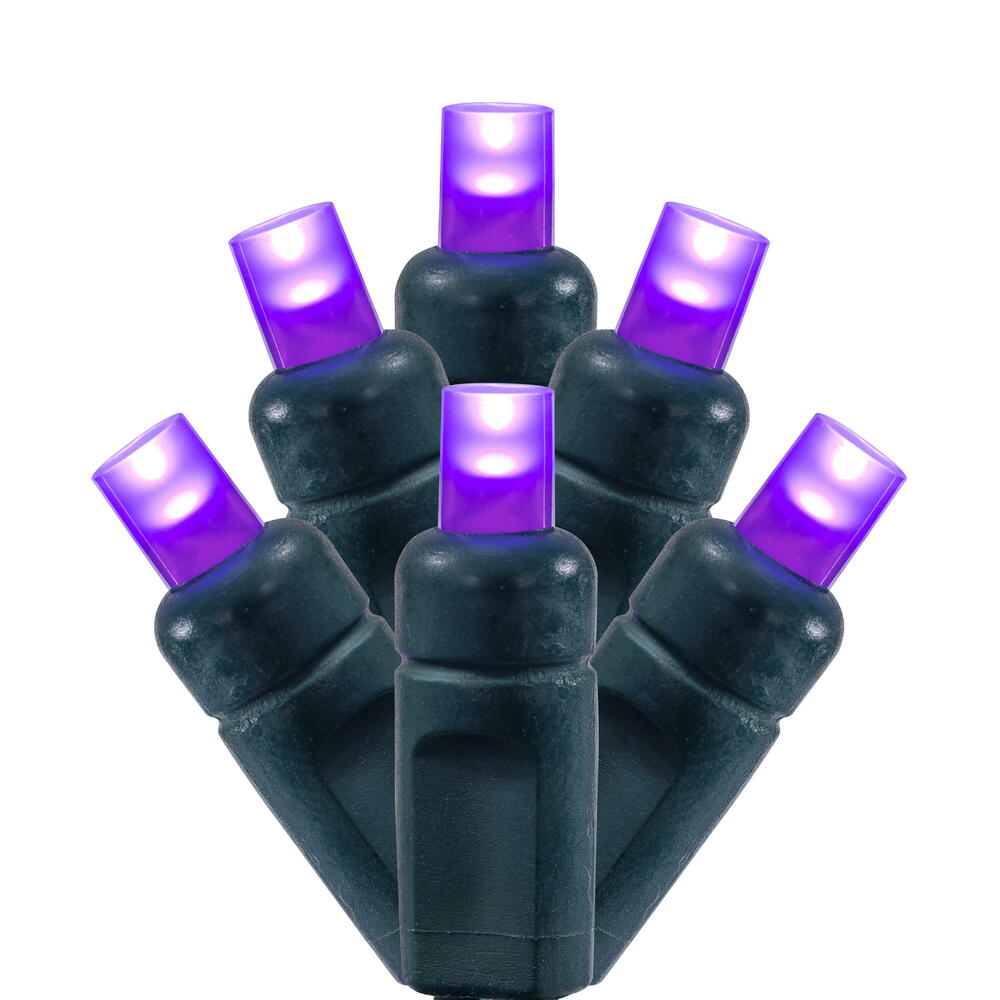 Vickerman 50 Frosted Purple Wide Angle Single Mold End-Connecting LED Light Set with 22 Gauge Green Wire, 3"x 6"x 3" Spacing, 25' Long Christmas Light Strand. This light set has the ability to connect to as many as 45 sets. 4.8 watts, .04 Amps. Color Head