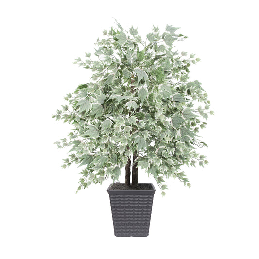 Vickerman 4' Artificial Silver Maple Bush Gray Square Plastic Container