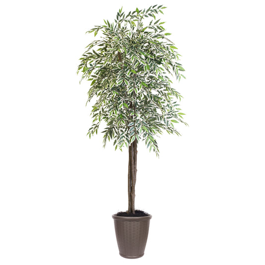 Vickerman 6' Artificial Varigated Smilax Deluxe Tree Brown Round Plastic Container.