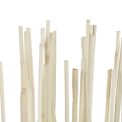 Vickerman 40" Bleached Elephant Reed 10 oz Bundle Dried