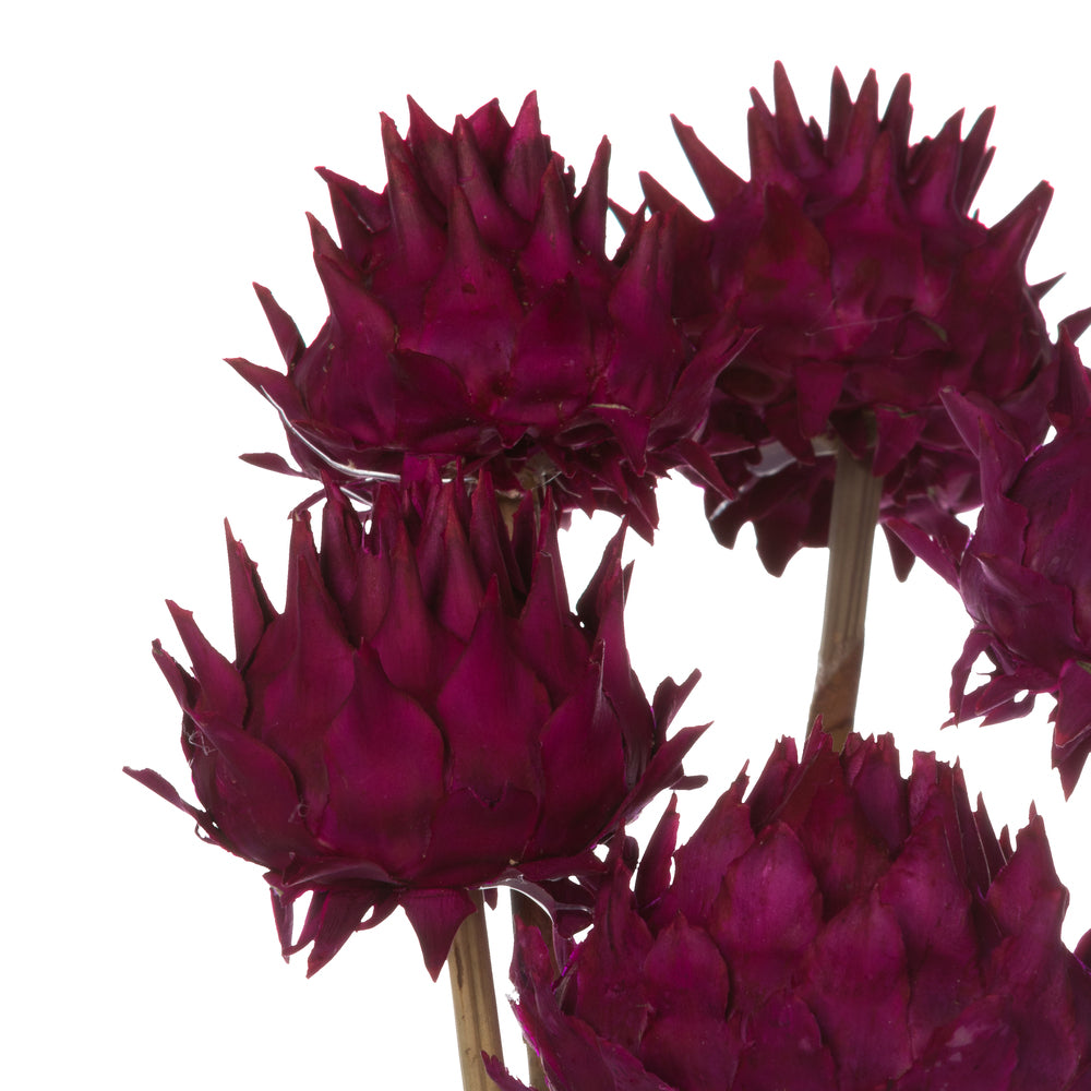 Vickerman 15" Raspberry Artichoke on Stem 5 Stems per pack Dried