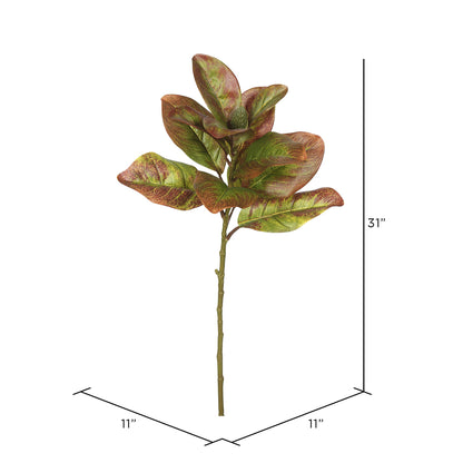 Vickerman 31" Artificial Autmn Magnolia Leaves No Blossom Set of 3