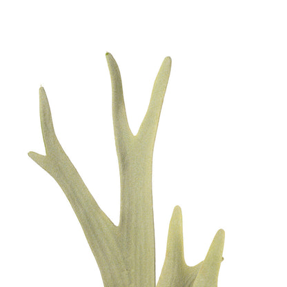 Vickerman 16.5" Artificial Green Staghorn Fern.