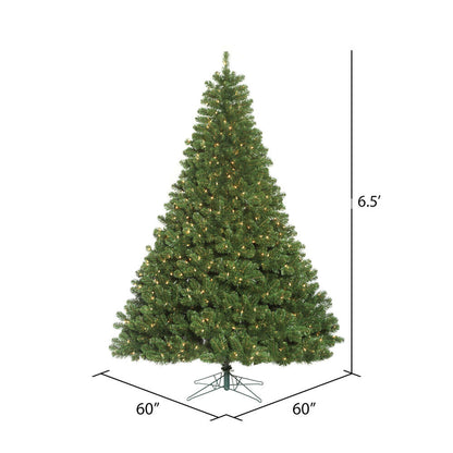 Vickerman 6.5' Oregon Fir Artificial Christmas Tree Clear Dura-lit Lights