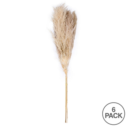 Vickerman 46" Dried Natural Pampas Grass 6 pieces per Pack