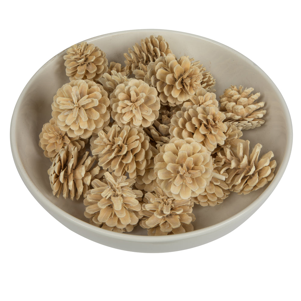 Vickerman Natural Botanicals 2" Blue Pine Bleached. Includes 25 Pieces per Unit