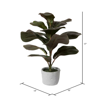 Vickerman 17" Red and Green Artificial Fiddle Leaf Fig Plant in Pot.