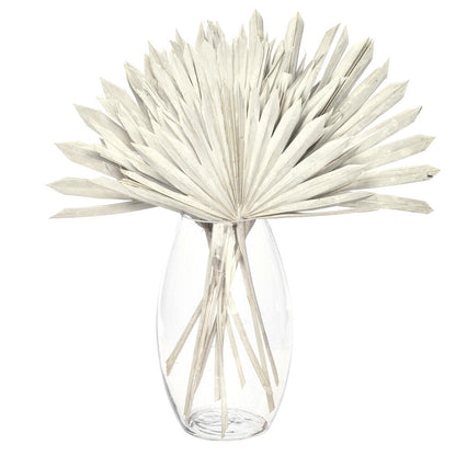 Vickerman Natural Botanicals 13.75 - 19.5" White wash Dried Palm Sun Spear 12 per bag.