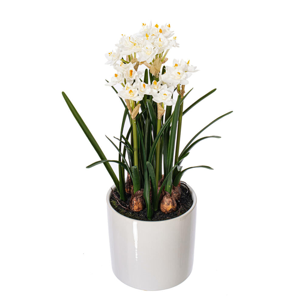 Vickerman 16.5" Artificial White Daffodil in Ceramic Pot.