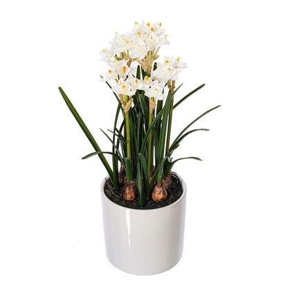Vickerman 16.5" Artificial White Daffodil in Ceramic Pot.
