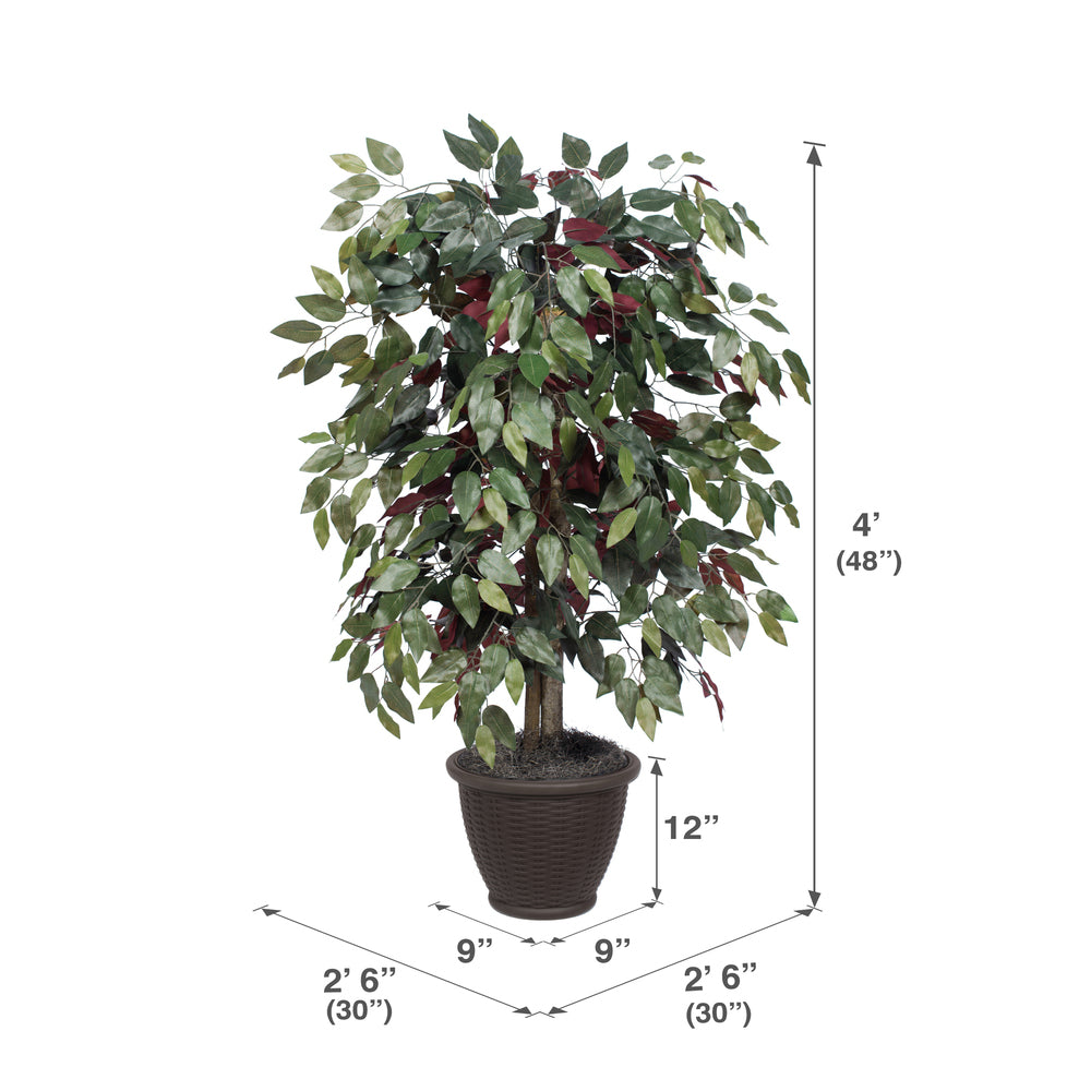Vickerman 4' Artificial Capensia Bush Brown Plastic Container.
