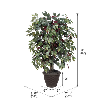 Vickerman 4' Artificial Capensia Bush Brown Plastic Container.