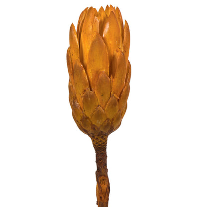 Vickerman 8-12" Aspen Gold Repens - Natural Stem -Bulk case 180 pieces Dried