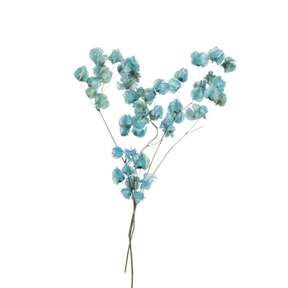 Vickerman 13.5-17" Light Blue Dried Cara Blossom Bundle Preserved.