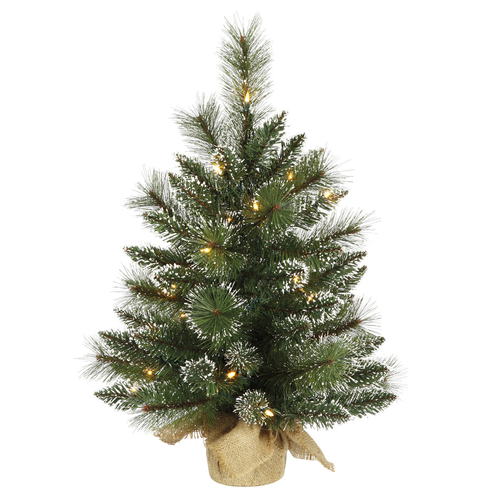 Vickerman 2' Snow Tipped Mixed Pine Artificial Christmas Tree Clear Dura-lit Lights