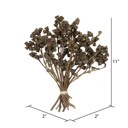 Vickerman Natural Botanicals 11" x 2-4" Conical Gum Branch 20 stems per unit