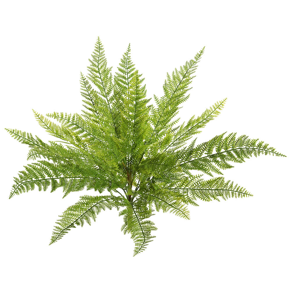 Vickerman 20" Artificial Green Lace Fern Bush.