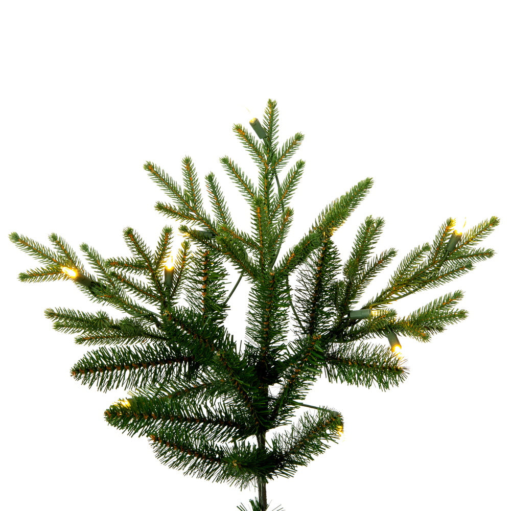 Vickerman 6.5' x 52" Tiffany Fraser Fir Artificial Christmas Tree Dura-Lit® Clear Incandescent Mini Lights