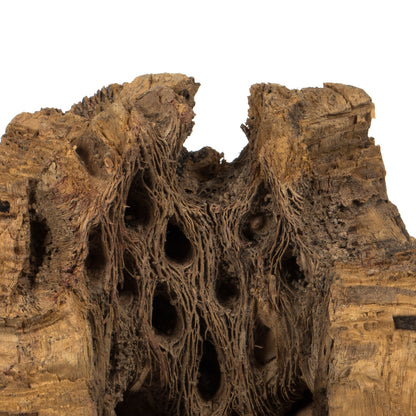 Vickerman 4 -18" Assorted Cholla Odds & Ends bulk case. Dried