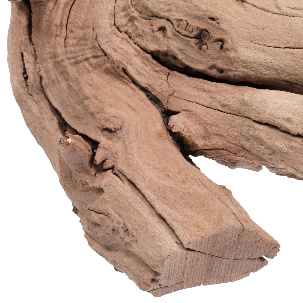 Vickerman Ghostwood Manzanita Sand Blasted 18" Dried