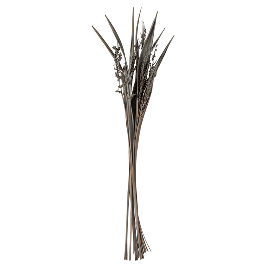 Vickerman 36" Gray Wash Bahia Spears with Seeds 2 pack Dried