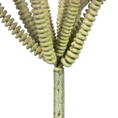 Vickerman 10.5" Artificial Mixed Green Haworthia Spray. Includes 6 sprays per pack.