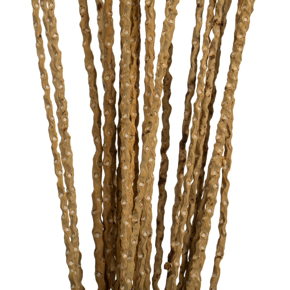 Vickerman 36-40" Ivory Caba Spine Bundle 3 pack Dried