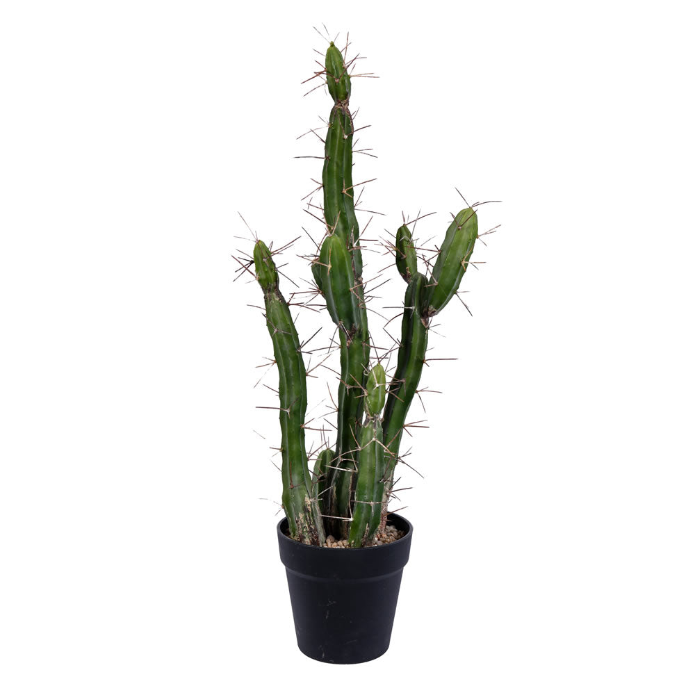 Vickerman 24" Artificial Green Cactus Black Plastic Planters Pot.