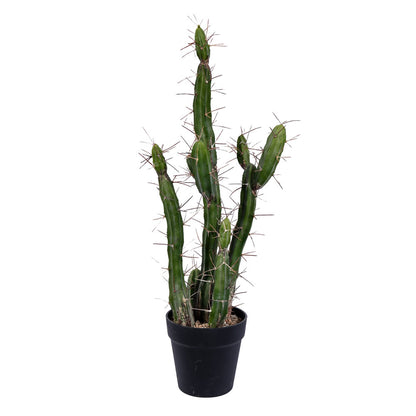 Vickerman 24" Artificial Green Cactus Black Plastic Planters Pot.