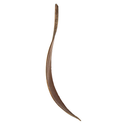 Vickerman 6-12" Natural Palm Paddles Includes 32-37 pieces Dried