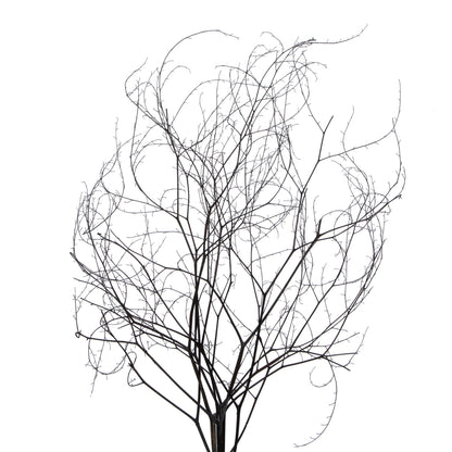 Vickerman 18-20" Natural Brown Skeleton Branch 3 packs (2 per pack) Dried