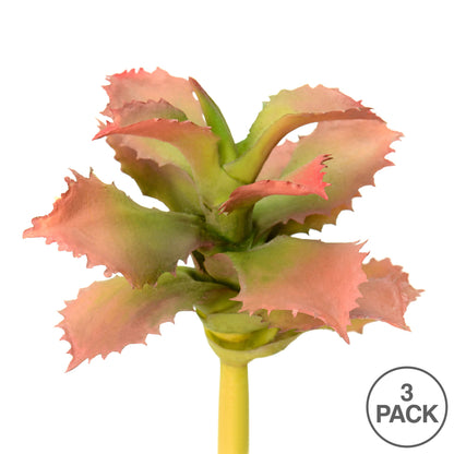 Vickerman 5" Artificial Red and Green Adromischcus Pick Set of 3