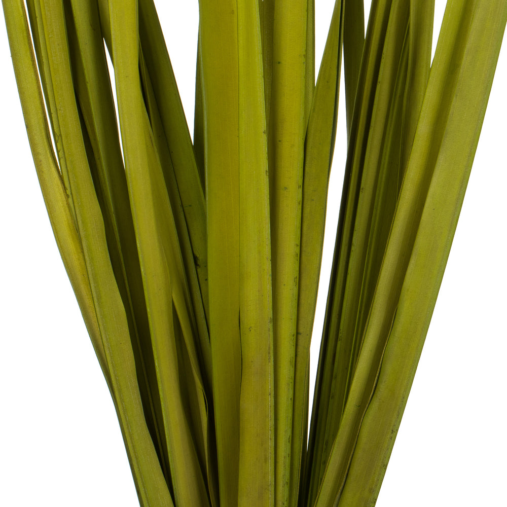 Vickerman 36-40" Basil Rush Grass 7 oz Bundle Dried