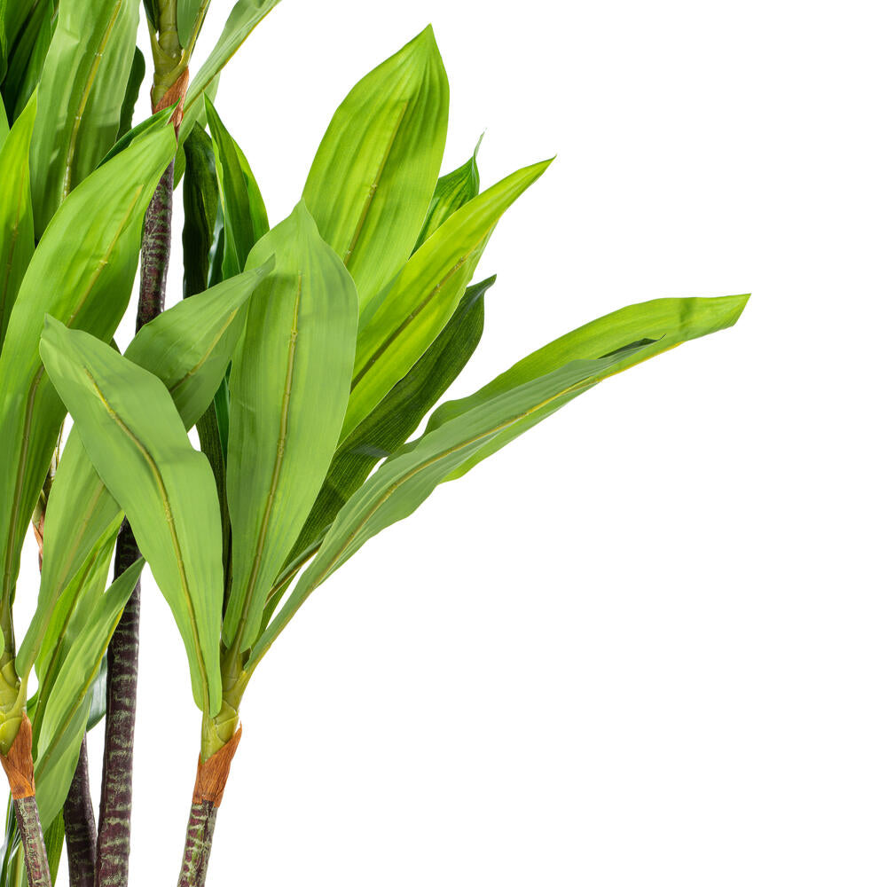 Vickerman 60" Artificial Real Touch Dracaena.