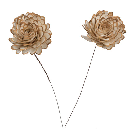 Vickerman Natural Botanicals 4" Natural Dried Almond Sola Flower on 12" wire stem- 12 stem/polybag.