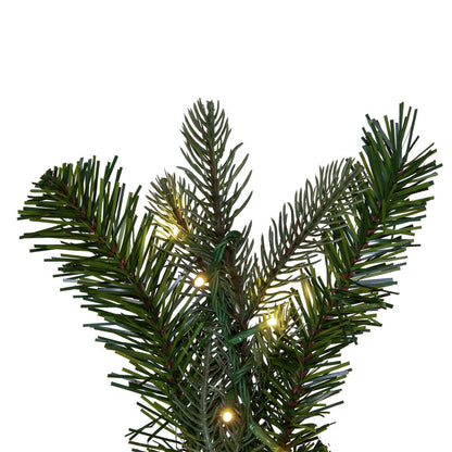 Vickerman 36" Douglas Fir Artificial Pre-Lit Teardrop Warm White 3mm Low Voltage LED Wide Angle Lights.